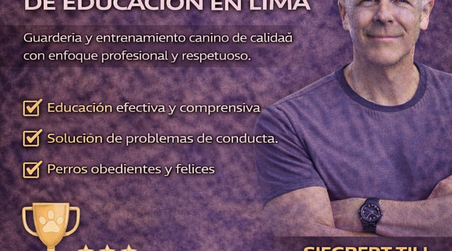 Top 10 preguntas frecuentes sobre entrenamiento canino