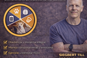 Escuela Canina Lima Perú: Refuerzo Positivo real