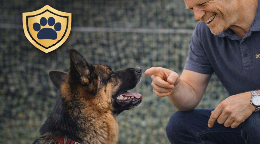 Adiestramiento canino en Miraflores (Lima): guía real