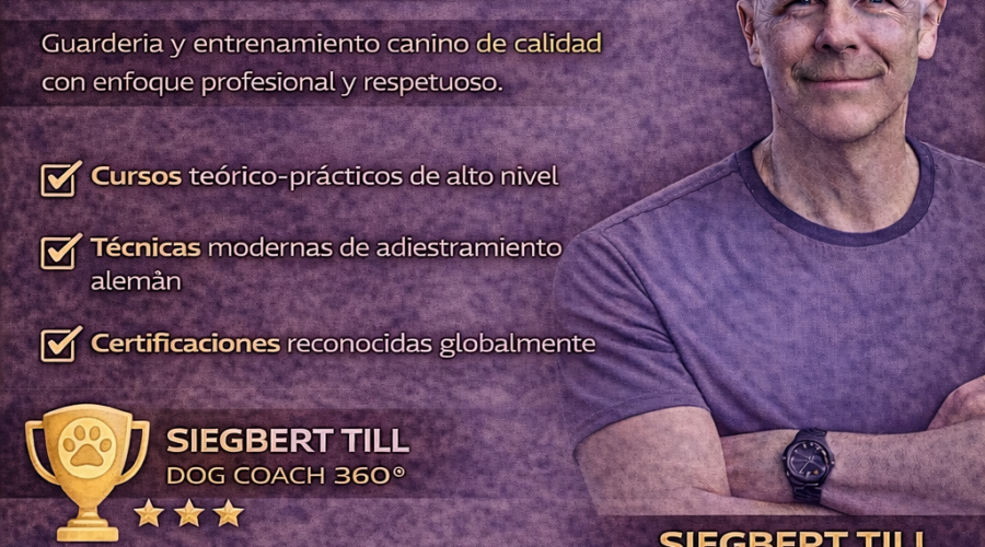 Actúa como consultor y crece con Dog Coach Expert