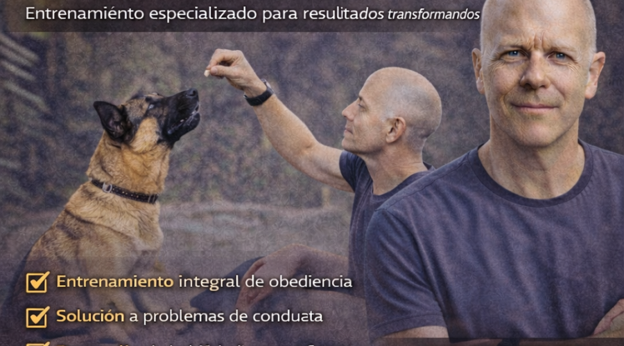 Los 5 errores al pasear con tu perro