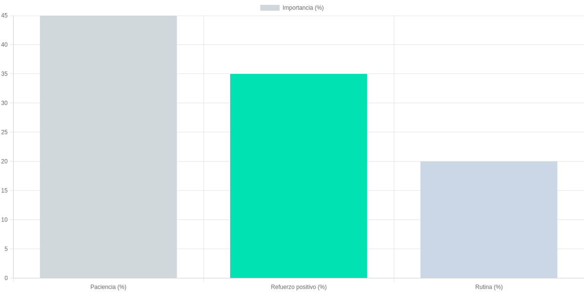 Importancia de los elementos clave en la rehabilitación de perros rescatados