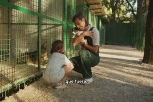 Dog Coach 360 y el Impacto en la Vida de un Perro Rescatado