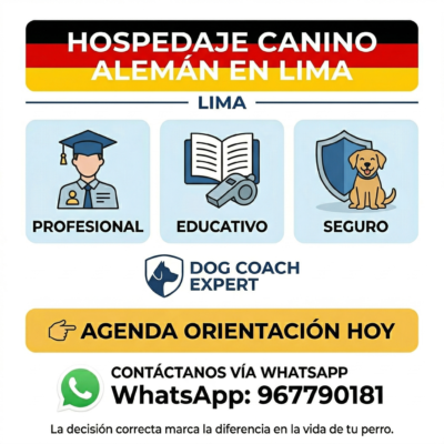 Hospedaje Canino Alemán en Lima Hospedaje Canino Alemán en Lima