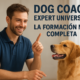 Dog Coach Expert University – La formación más completa