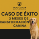 Caso de Éxito: 3 Meses de Transformación Canina