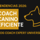 Tendencias 2026:Coach canino eficiente