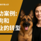 Caso de Éxito: Transformación de Perros y Negocio