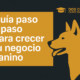 Guía paso a paso para crecer tu negocio canino