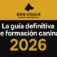 La guía definitiva de formación canina 2026